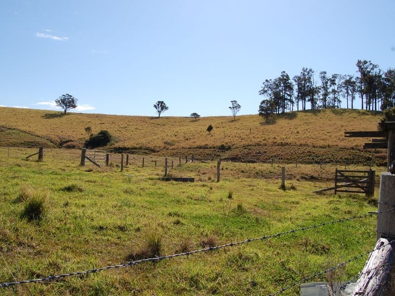 Firefly NSW 2429
