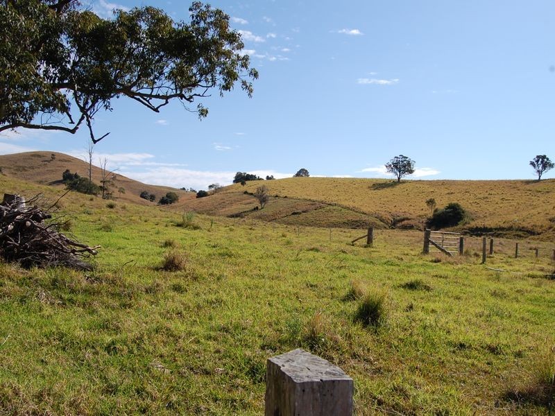 Firefly NSW 2429