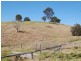 Firefly NSW 2429