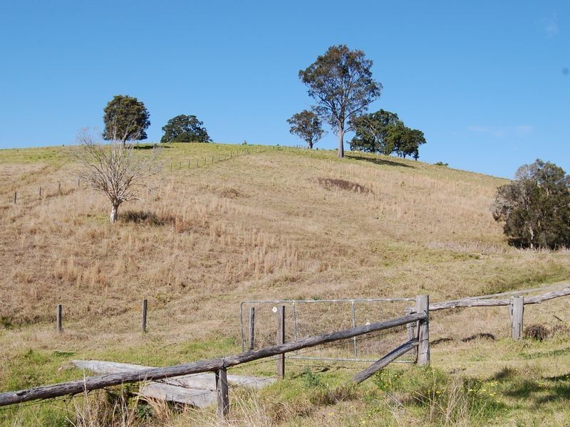 Firefly NSW 2429
