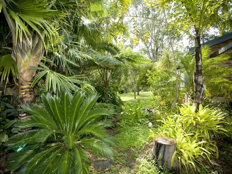 8 Kingfisher Drive, Wingham NSW 2429