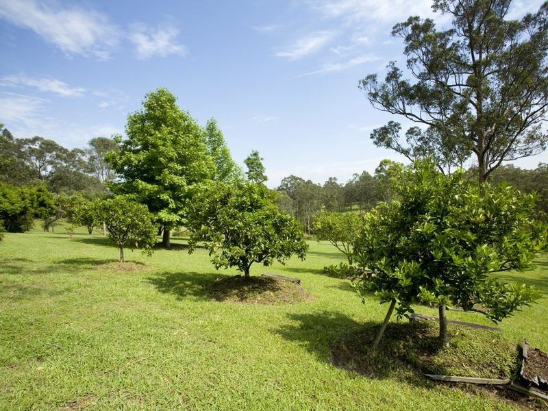 8 Kingfisher Drive, Wingham NSW 2429