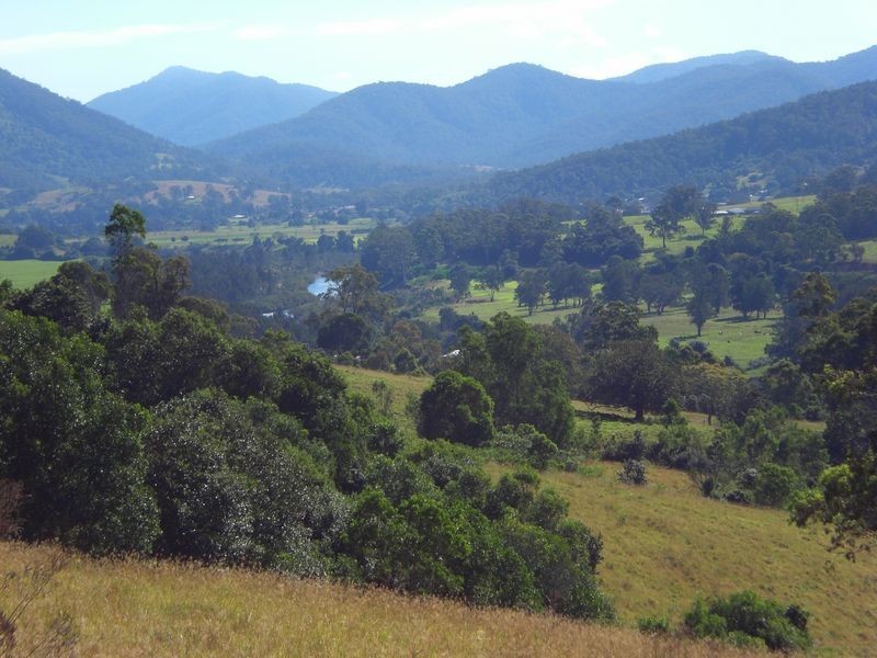 Wingham NSW 2429