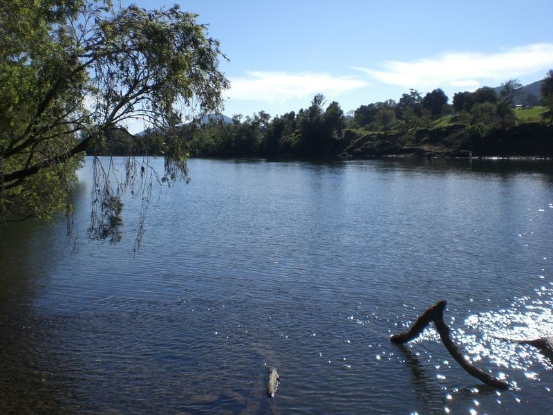 Wingham NSW 2429