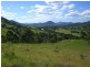 Wingham NSW 2429