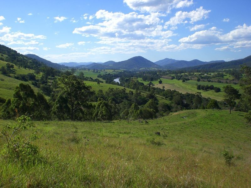 Wingham NSW 2429
