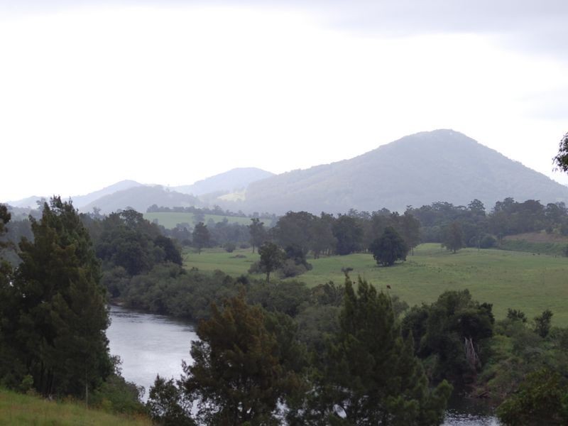 Wingham NSW 2429