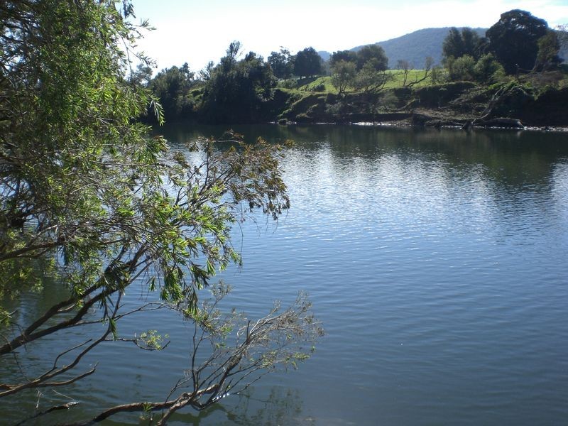 Wingham NSW 2429