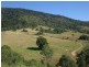 Wingham NSW 2429