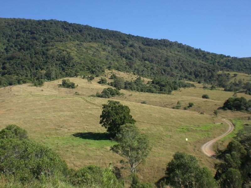 Wingham NSW 2429
