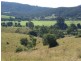 Wingham NSW 2429