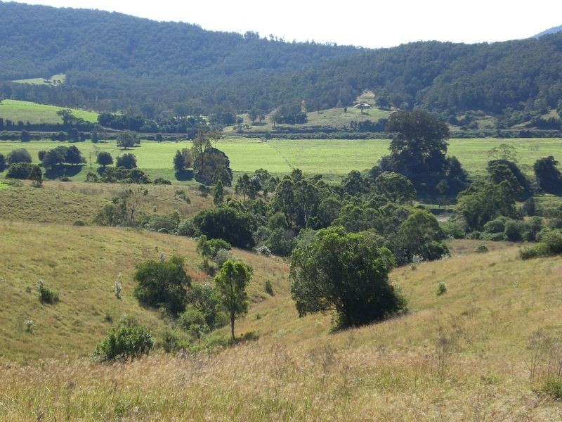 Wingham NSW 2429