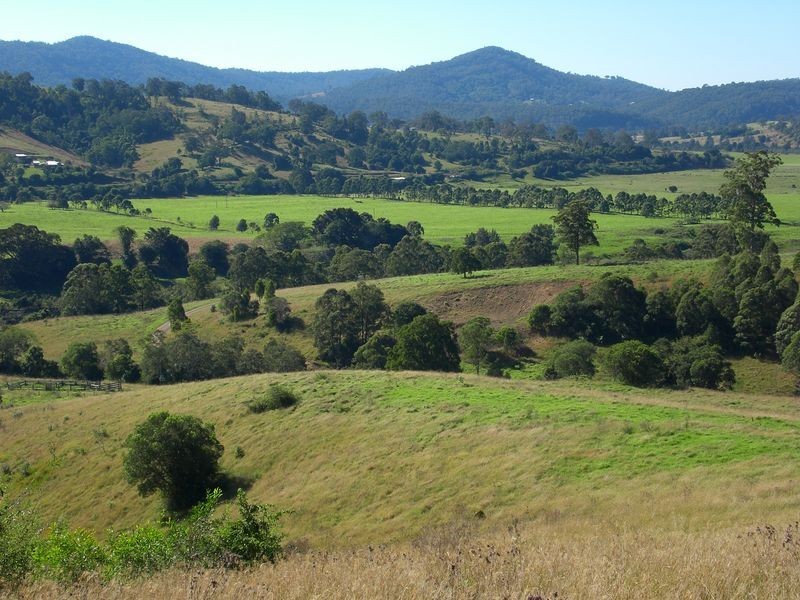 Wingham NSW 2429