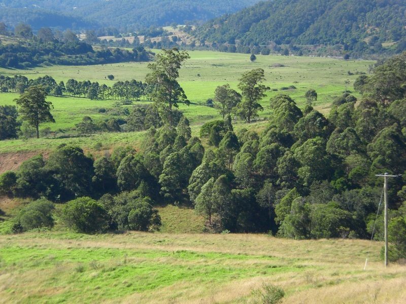 Wingham NSW 2429