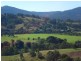 Wingham NSW 2429