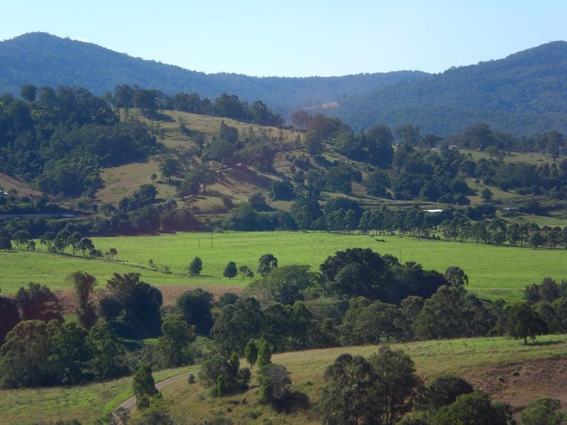 Wingham NSW 2429