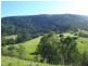 Wingham NSW 2429