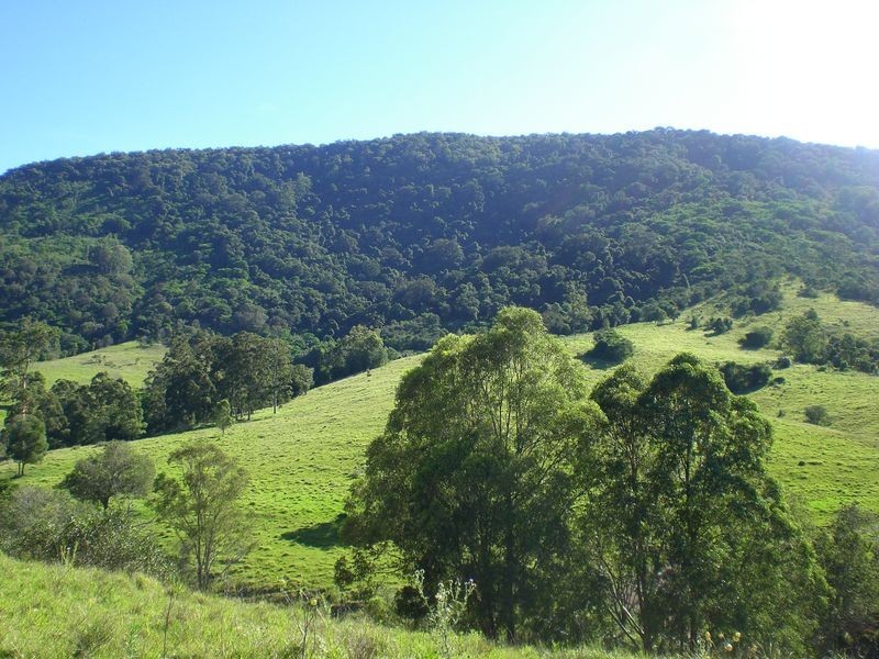 Wingham NSW 2429
