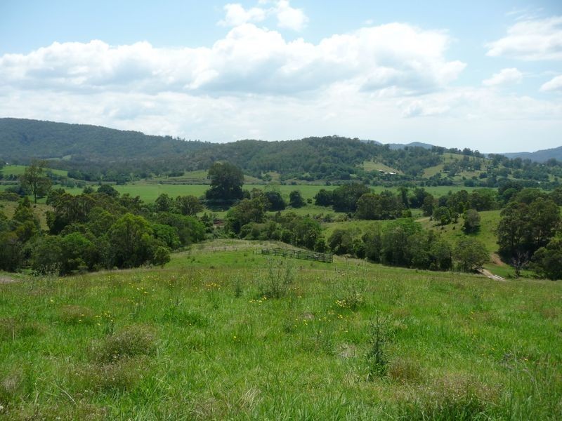 Wingham NSW 2429