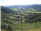 Wingham NSW 2429