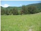 Wingham NSW 2429