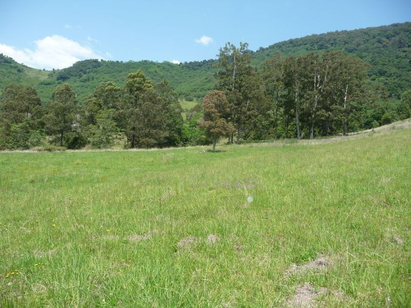 Wingham NSW 2429