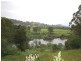 Wingham NSW 2429