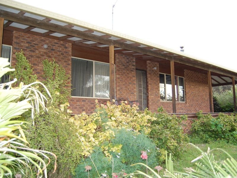 Firefly NSW 2429