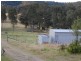 Firefly NSW 2429