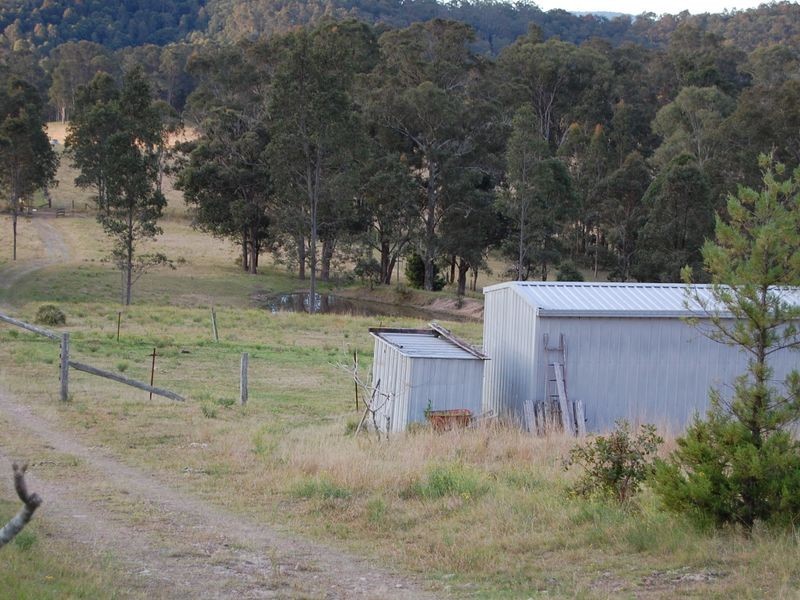 Firefly NSW 2429