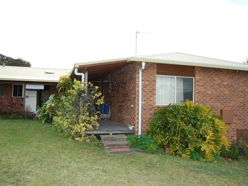 Firefly NSW 2429