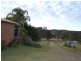 Firefly NSW 2429