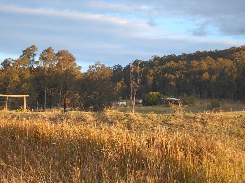 Firefly NSW 2429