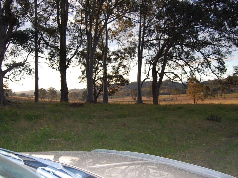 Firefly NSW 2429