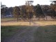 Firefly NSW 2429