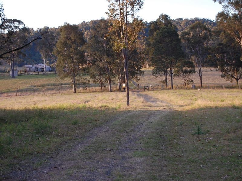 Firefly NSW 2429