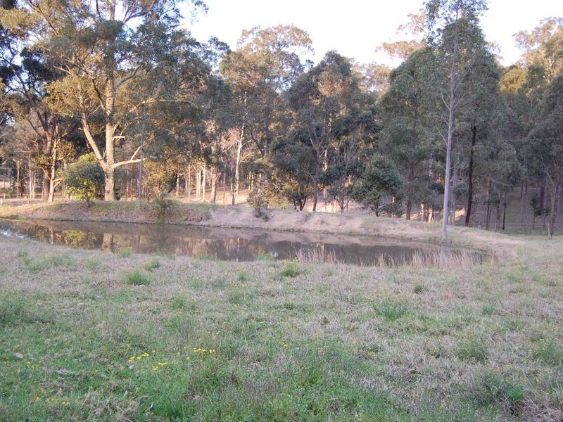 Firefly NSW 2429
