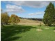 271 Marchfield Road, Wingham NSW 2429