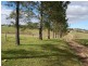 271 Marchfield Road, Wingham NSW 2429