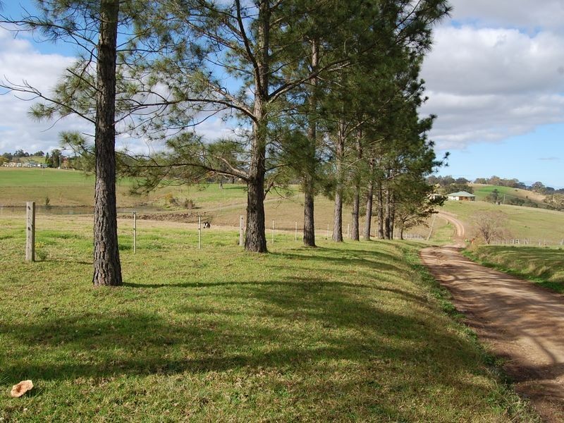 271 Marchfield Road, Wingham NSW 2429