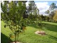 271 Marchfield Road, Wingham NSW 2429