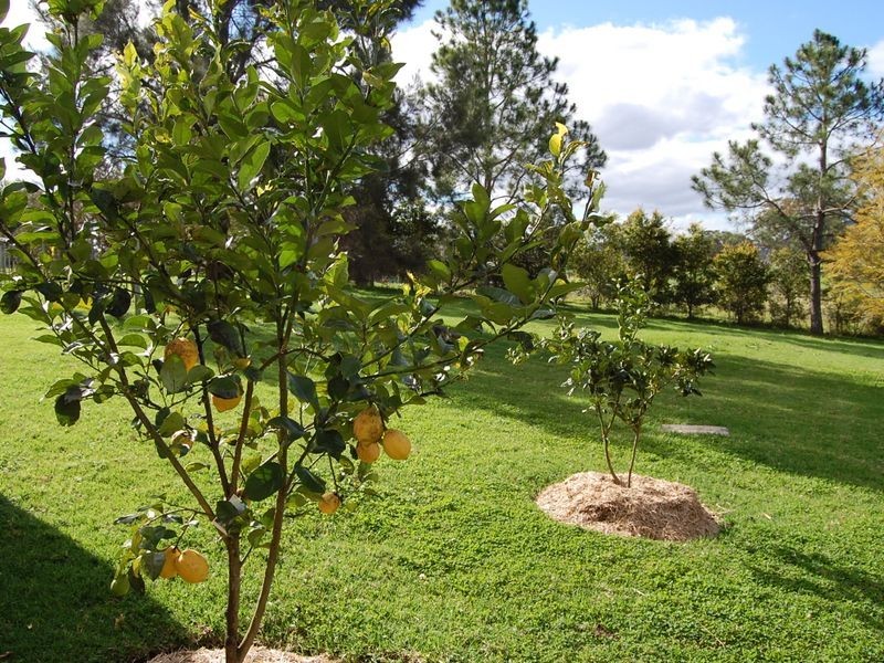271 Marchfield Road, Wingham NSW 2429