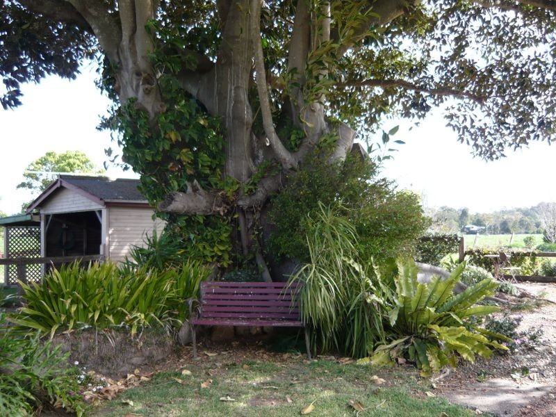 48 Browns Close, Wingham NSW 2429