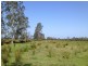 Coopernook NSW 2426