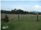 194 Skyline Drive, Wingham NSW 2429