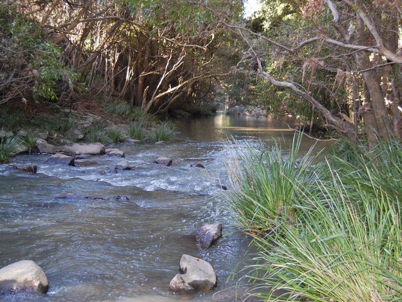 Nabiac NSW 2312
