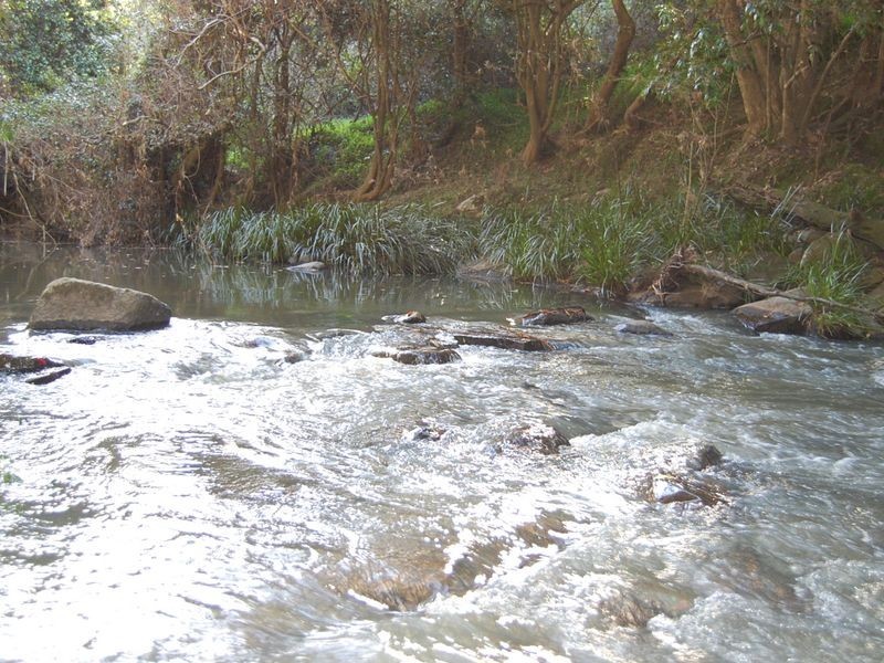 Nabiac NSW 2312