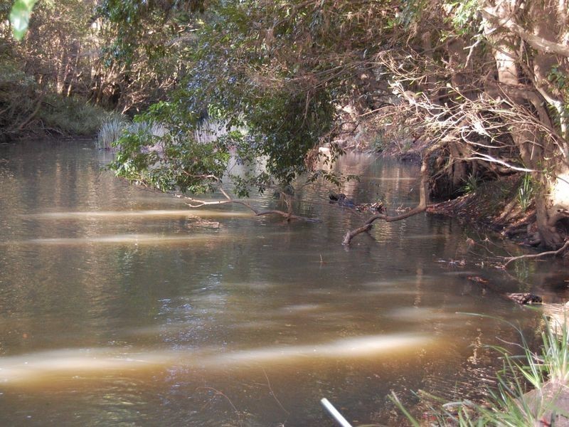 Nabiac NSW 2312
