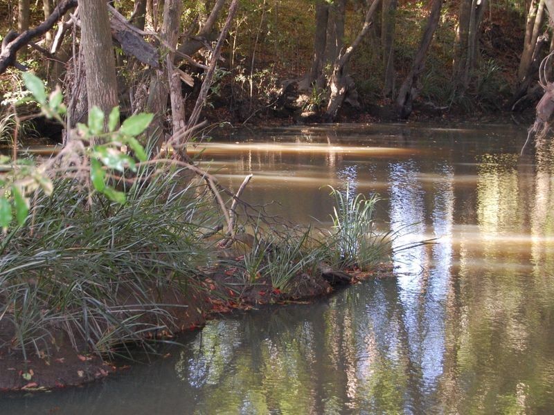 Nabiac NSW 2312