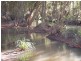 Nabiac NSW 2312